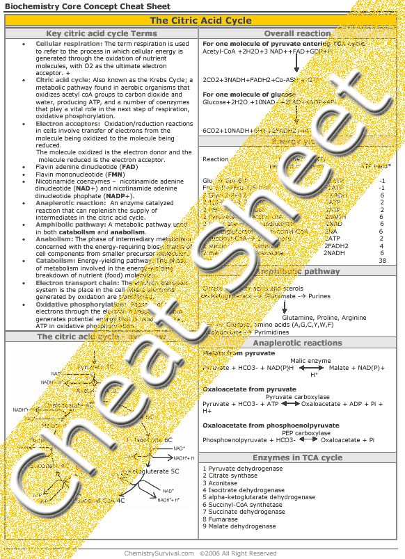 Biochemistry: TCA cycle