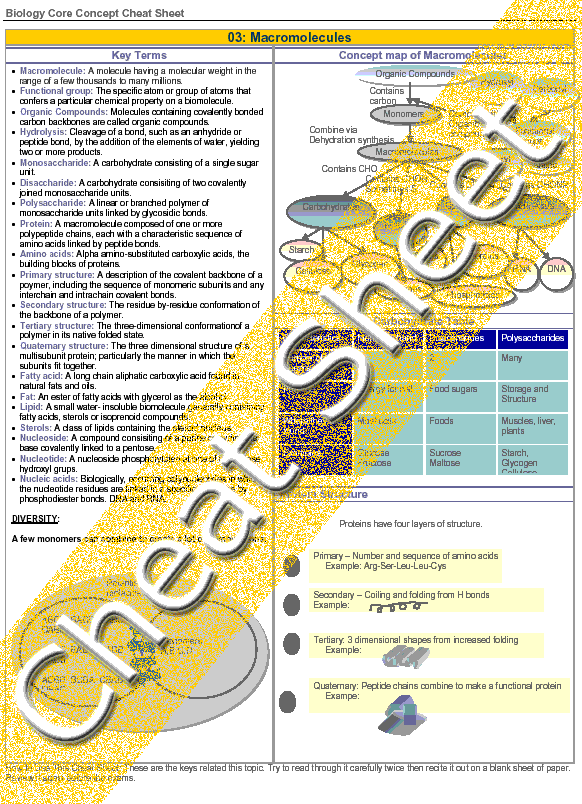 view über ruheübungen und ruheübungs apparate zur psychologie und hygiene des denkens zwei